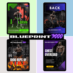 BLUEPRINT 3000: ULTIMATE FITNESS E-BOOK BUNDLE
